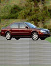 Maxima20