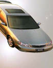 maxima